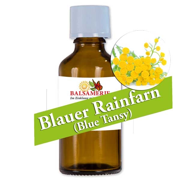 Blauer Rainfarn - Blue Tansy