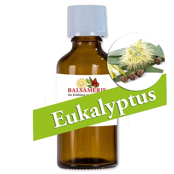 Eukalyptus