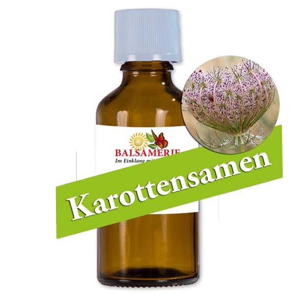 Karottensamen