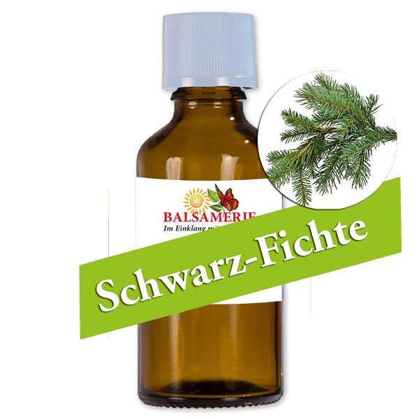 Schwarz-Fichte