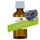 Lavendel